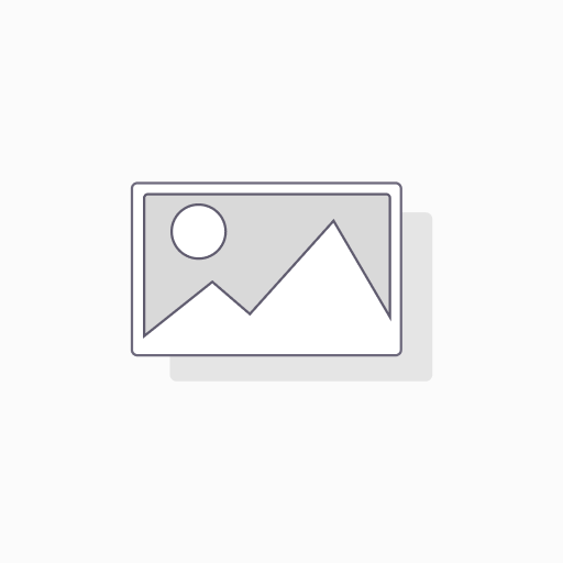 Toledo Screen Clips Cortos Gris 